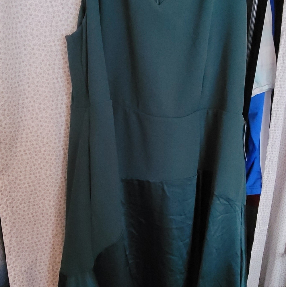 Torrid Dress - Picture 4 of 4